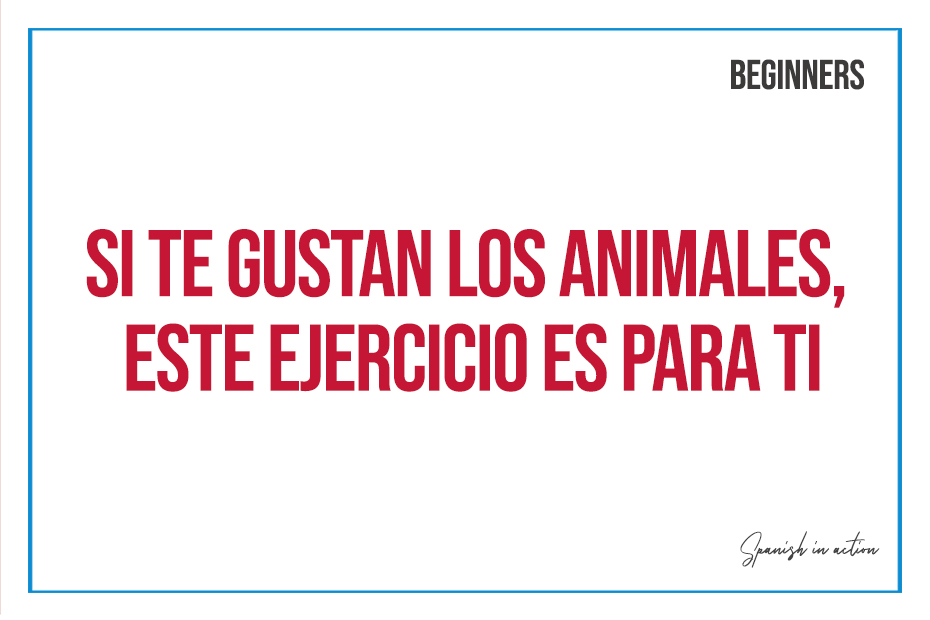 si te gustan los animales